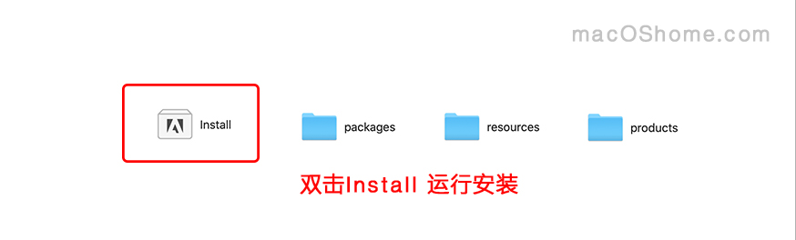 Adobe Bridge 2020 for Mac v10  中文破解版