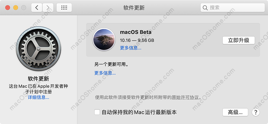 macOS 11 Big Sur 开发者测试版描述文件，测试版系统更新推送