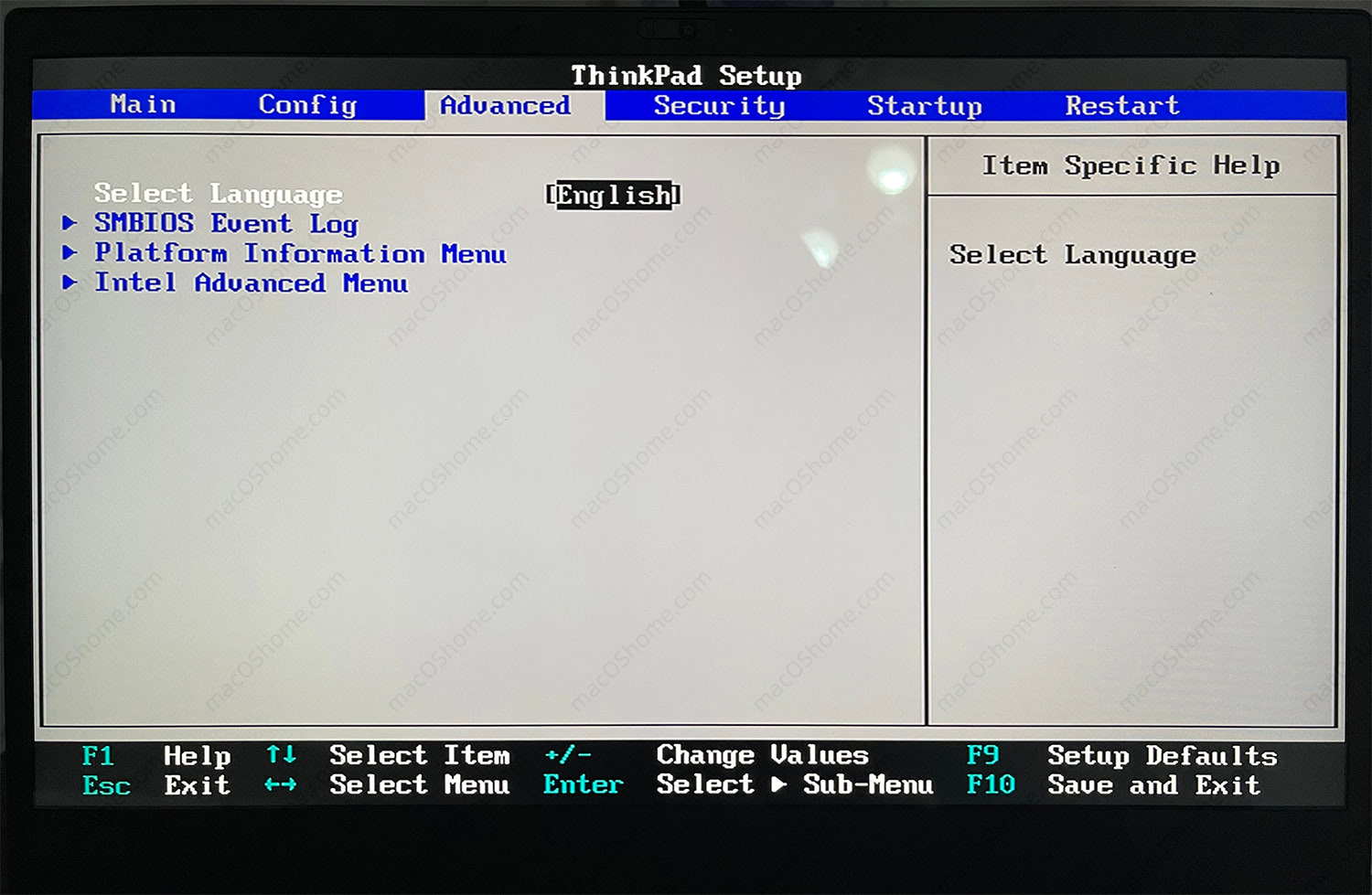 解锁ThinkPad BIOS高级选项, 解锁DVMT设置以及WWAN和Wi-Fi白名单