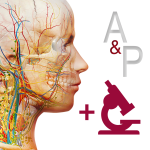 Anatomy & Physiology For Mac v6.2.07 解剖和生理学中文版PJ