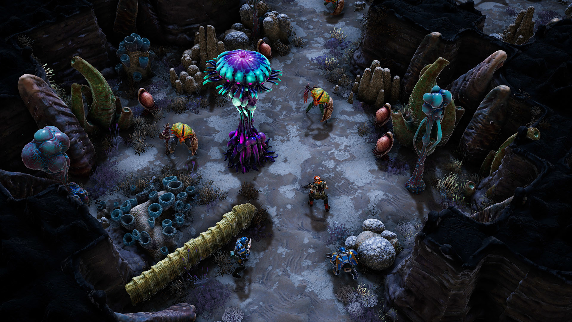 凤凰点 phoenix point for mac v1.0.2.0 策略游戏中文版