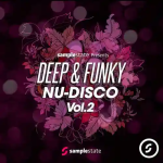 Deep & Funky Nu-Disco 2 WAV声音采样