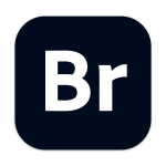 Adobe Bridge 2025 15.0.0.397 Br创意资产管理工具